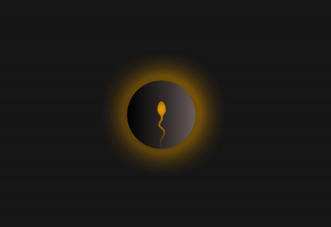 இன்விட்ரோ கருத்தரித்தல் (IVF) என்றால் என்ன?