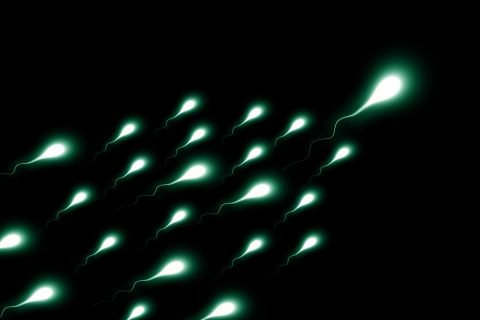 IUI மற்றும் ஆண் மலட்டுத்தன்மை அல்லது விந்து தானம்